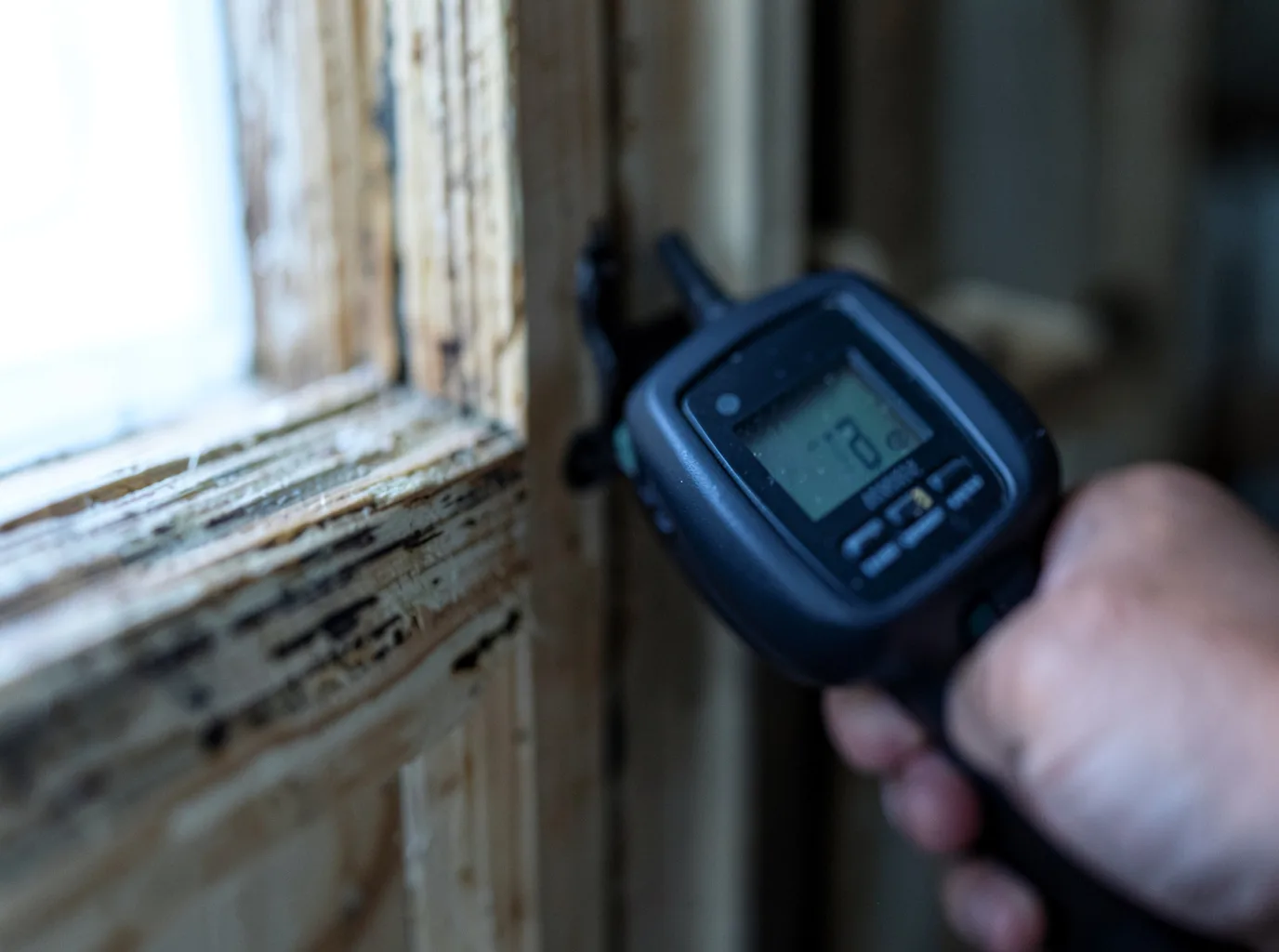 Moisture Inspection And Documentation in Greenville, IL